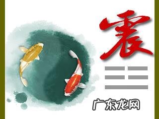 八卦中震卦 八卦的震卦