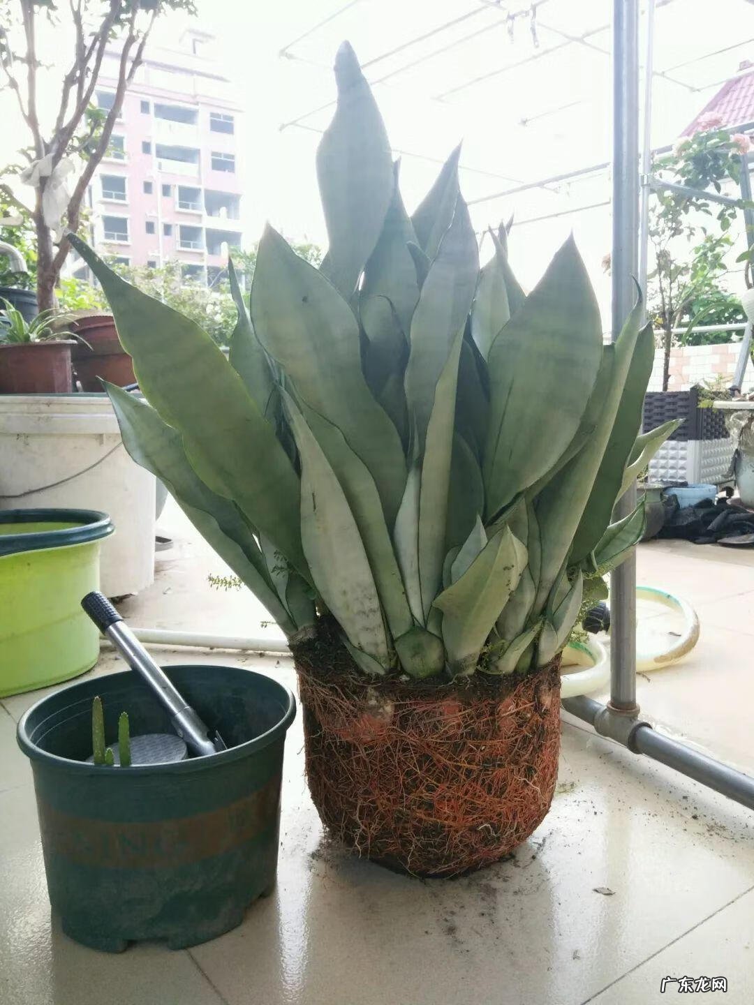 水缸倒扣在风水上有什么说法 水缸倒扣在风水上有什么说法?