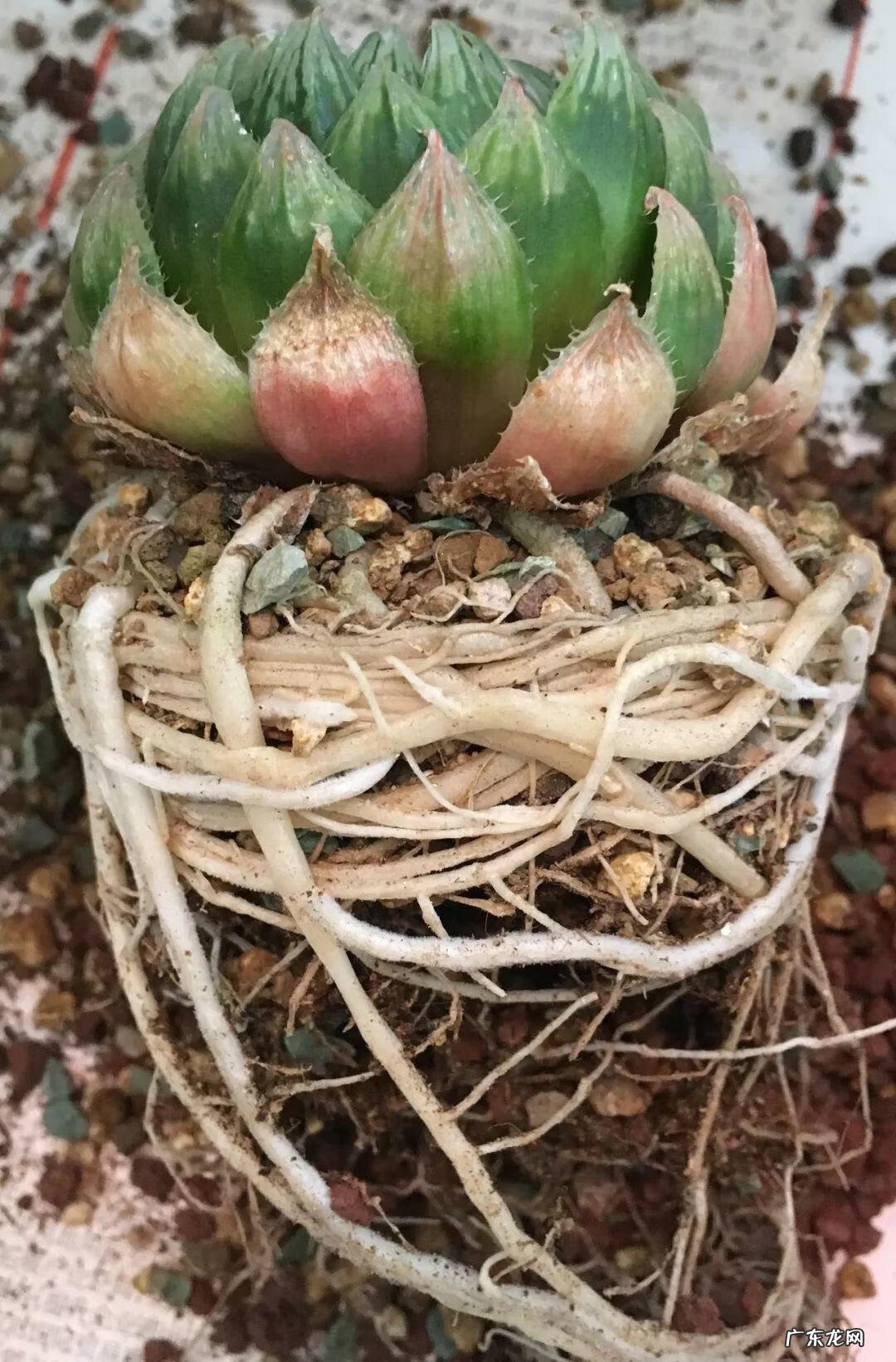 水缸倒扣在风水上有什么说法 水缸倒扣在风水上有什么说法?