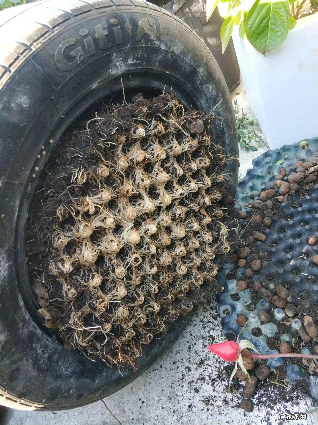 水缸倒扣在风水上有什么说法 水缸倒扣在风水上有什么说法?