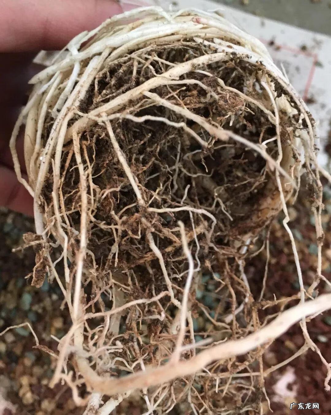 水缸倒扣在风水上有什么说法 水缸倒扣在风水上有什么说法?