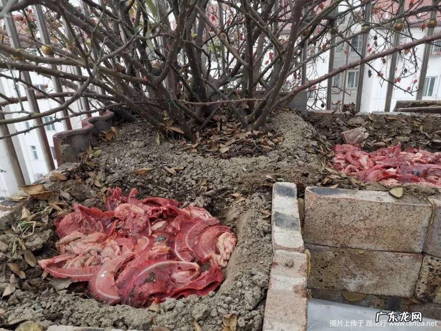 水缸倒扣在风水上有什么说法 水缸倒扣在风水上有什么说法?