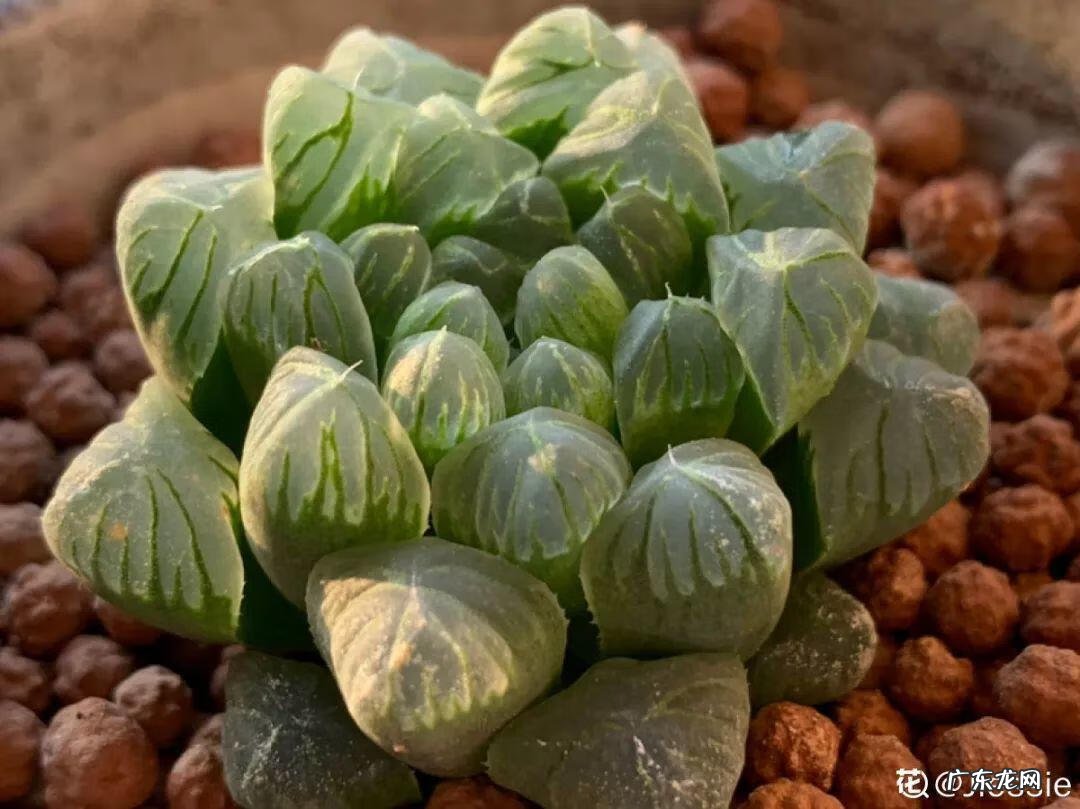 水缸倒扣在风水上有什么说法 水缸倒扣在风水上有什么说法?