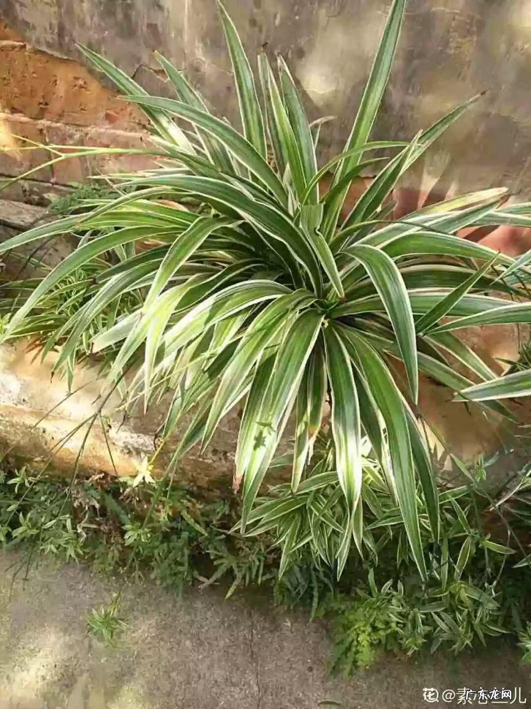 水缸倒扣在风水上有什么说法 水缸倒扣在风水上有什么说法?