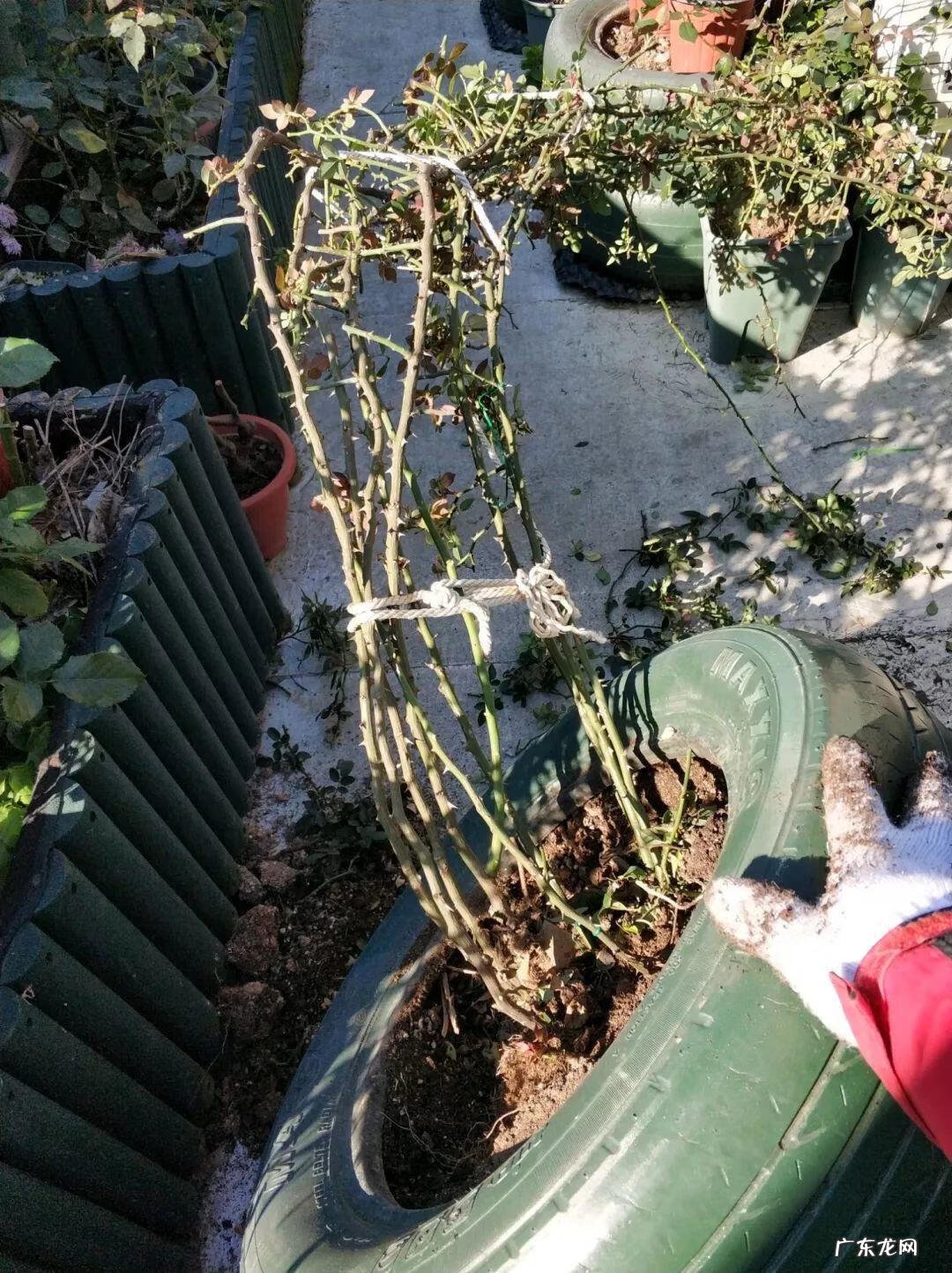 水缸倒扣在风水上有什么说法 水缸倒扣在风水上有什么说法?