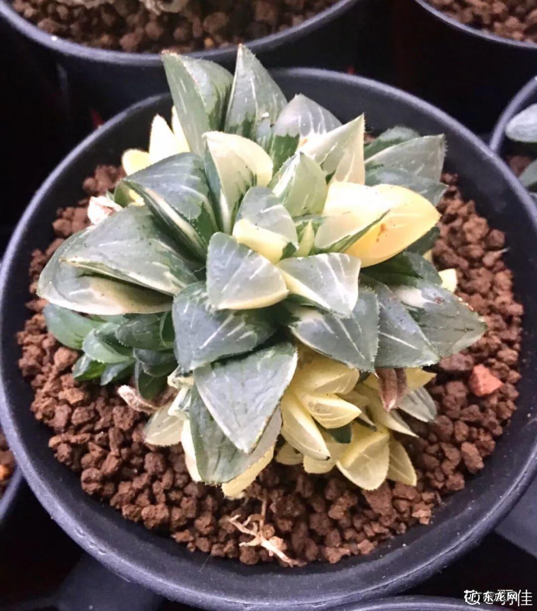 水缸倒扣在风水上有什么说法 水缸倒扣在风水上有什么说法?