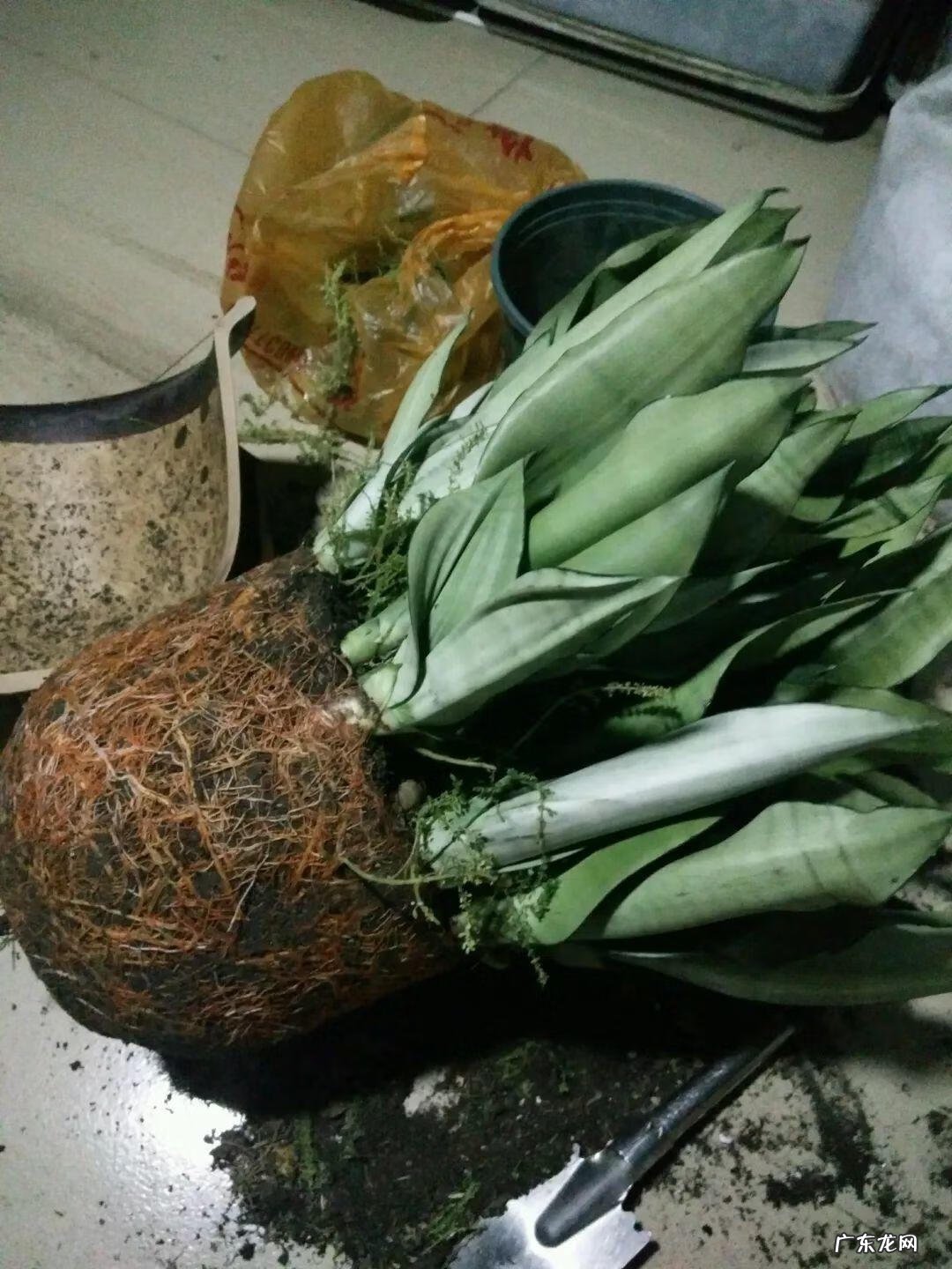 水缸倒扣在风水上有什么说法 水缸倒扣在风水上有什么说法?