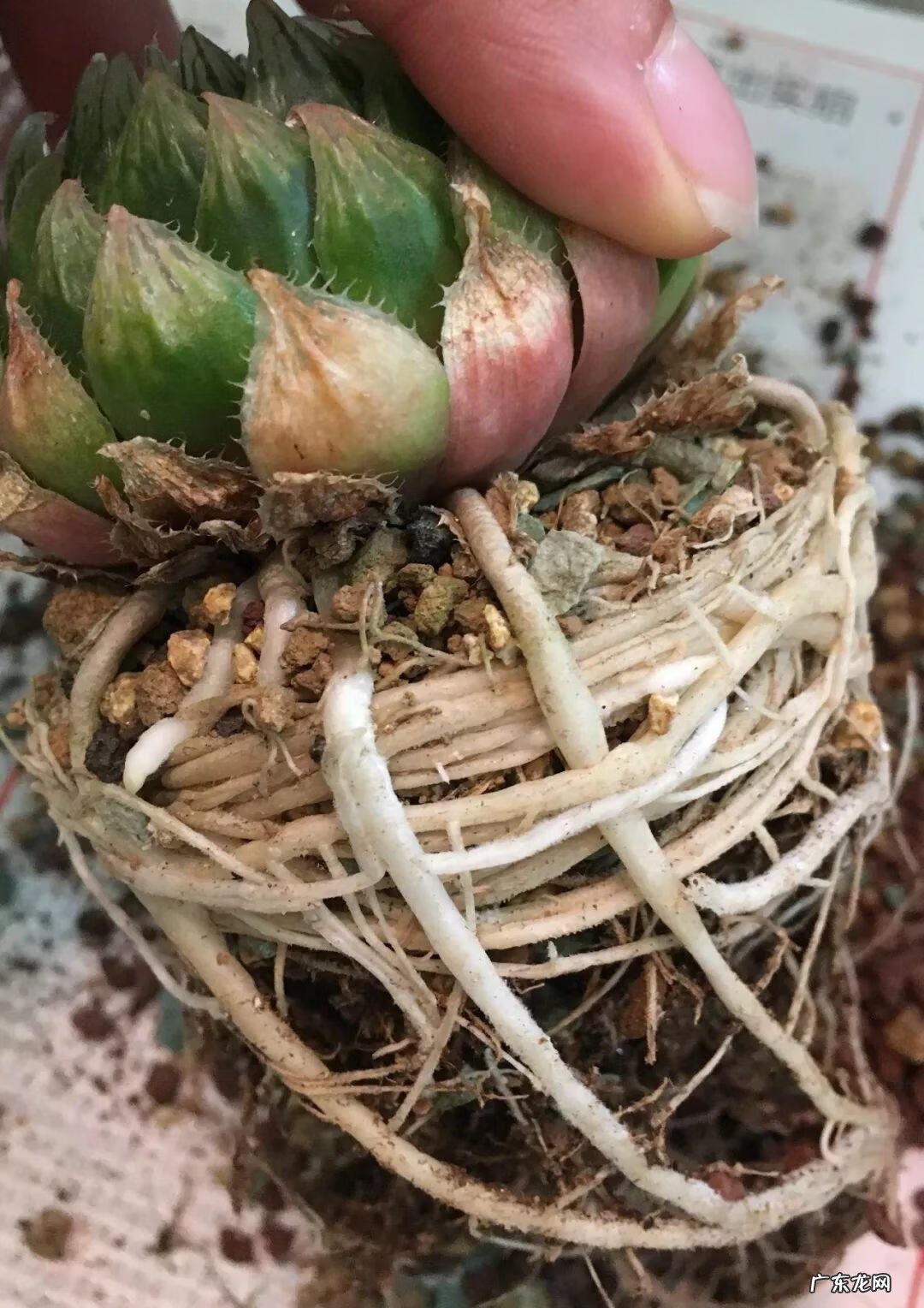 水缸倒扣在风水上有什么说法 水缸倒扣在风水上有什么说法?