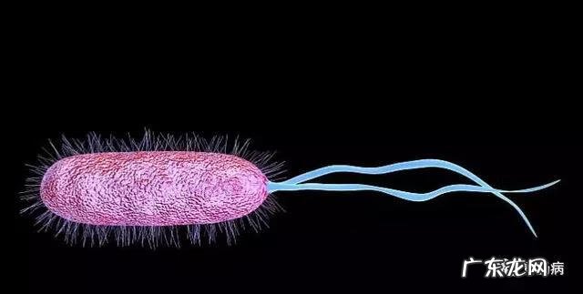 慢性浅表性胃炎怎么治 慢性浅表性胃炎是什么意思