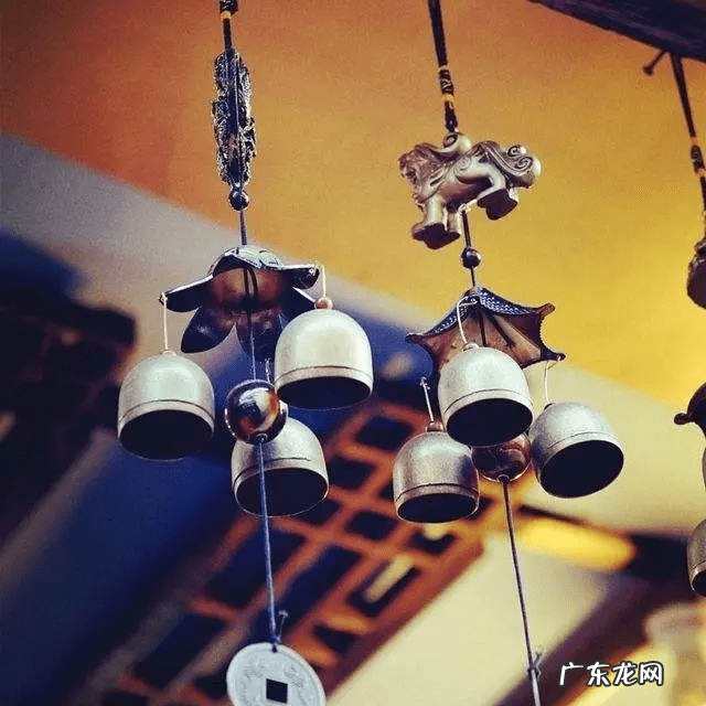 院子里养乌龟用不用看风水 风水正西养龟