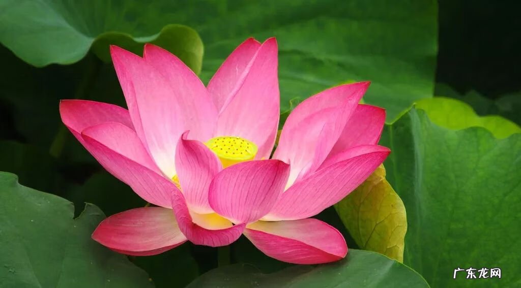 风水动土四言八句 风水四言八句