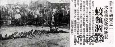 为什么家里不能有龙的图案 没有龙为什么有属龙的