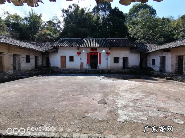 产品社交属性 基因与社交属性风水