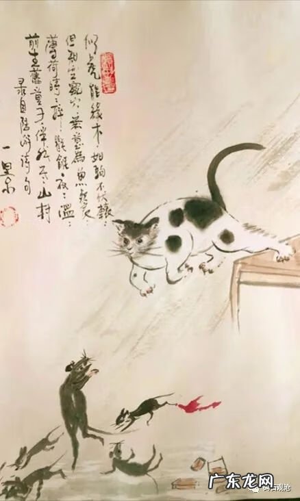 飞鹰下山风水宝地 飞鹰捕鼠风水宝地