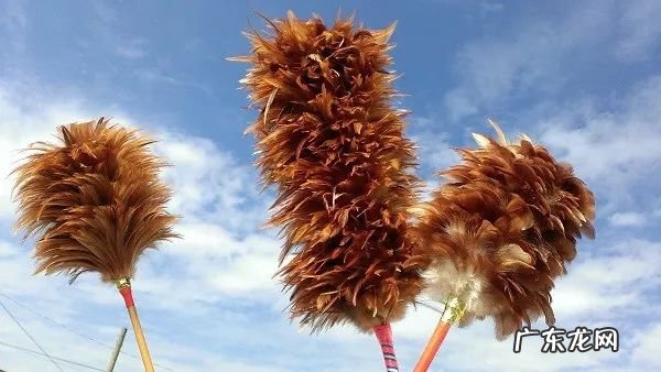 手心长黑点有什么风水 过年手划破了 风水