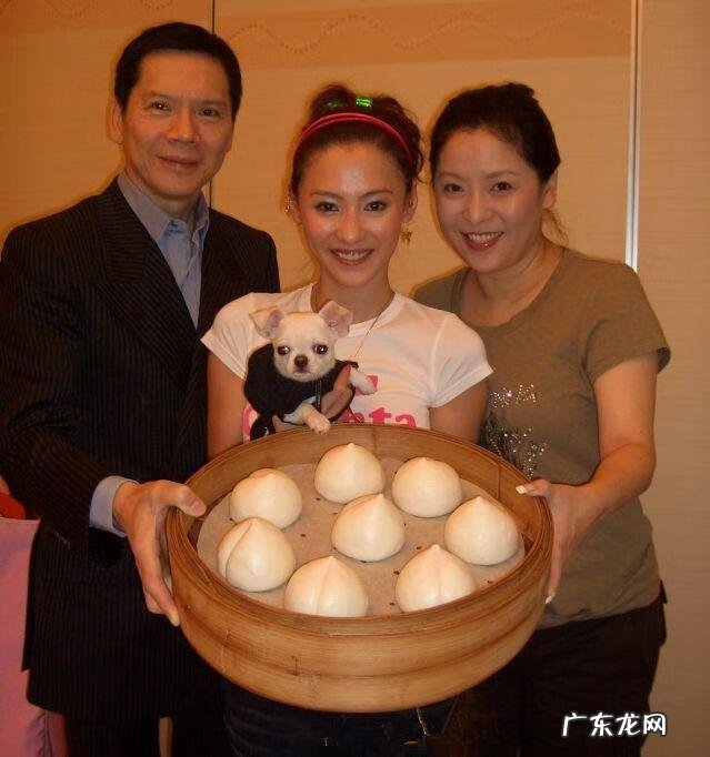 张柏芝毁约 张柏芝被