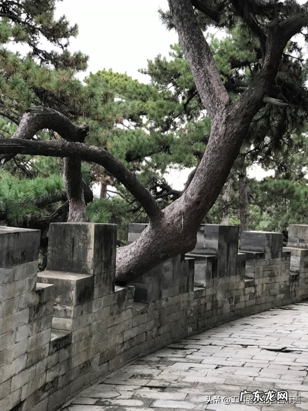 昭陵的风水 泰陵风水详解