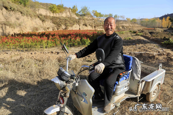 窝形风水点位 山窝里的房子风水好吗