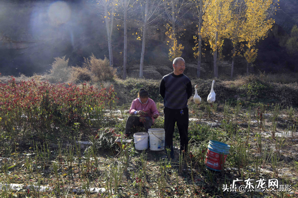 窝形风水点位 山窝里的房子风水好吗