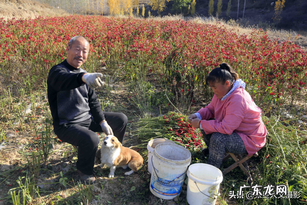 窝形风水点位 山窝里的房子风水好吗