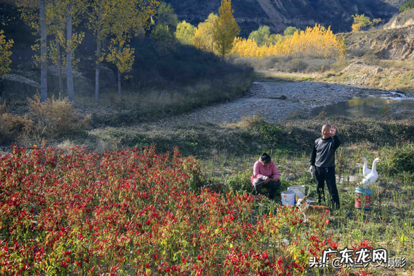 窝形风水点位 山窝里的房子风水好吗