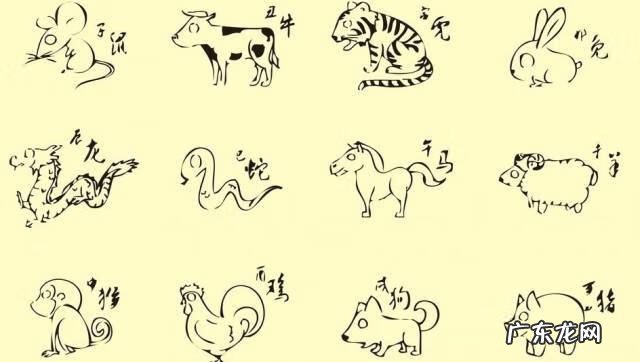 风水龙形地占什么位置 风水龙虎相争之地好吗