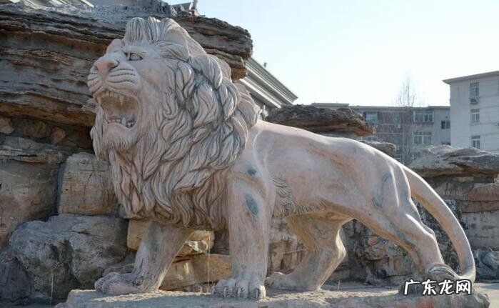 狮子地的风水特征 风水狮子形图解