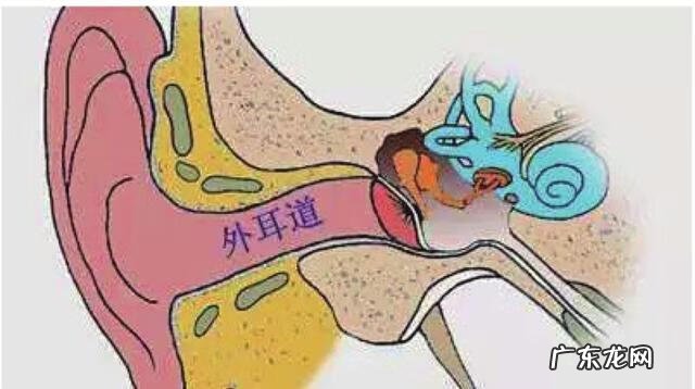 耳朵发炎该怎么办 耳朵发炎