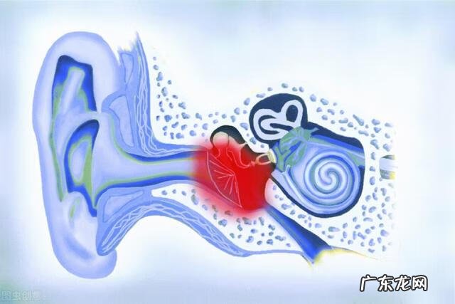 耳朵发炎该怎么办 耳朵发炎