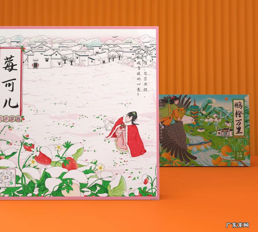 产品包装材质 中国风水果包装设计