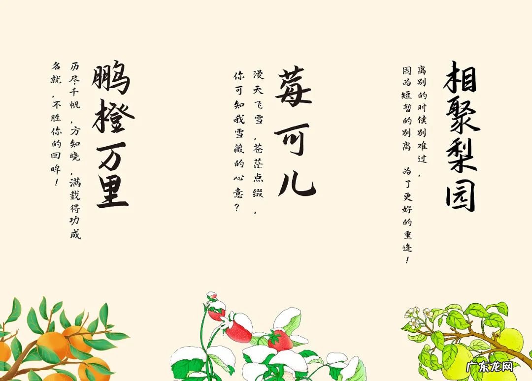 产品包装材质 中国风水果包装设计