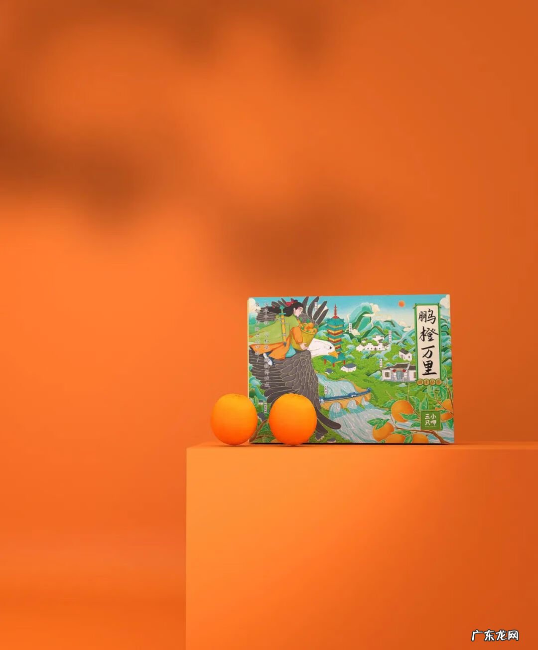 产品包装材质 中国风水果包装设计