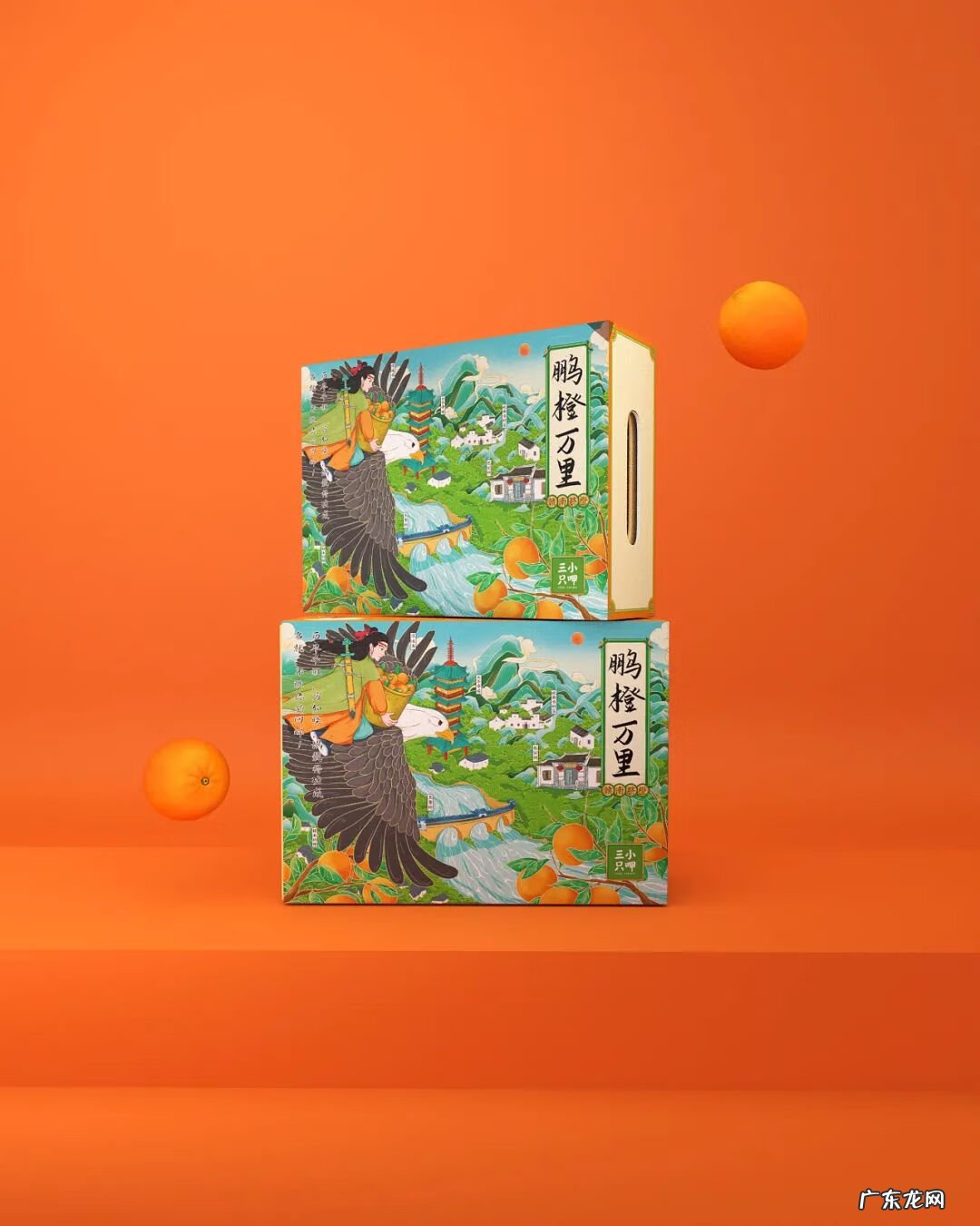 产品包装材质 中国风水果包装设计