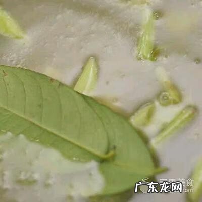 炖鸡汤放什么材料好吃 香茅炖鸡汤做法