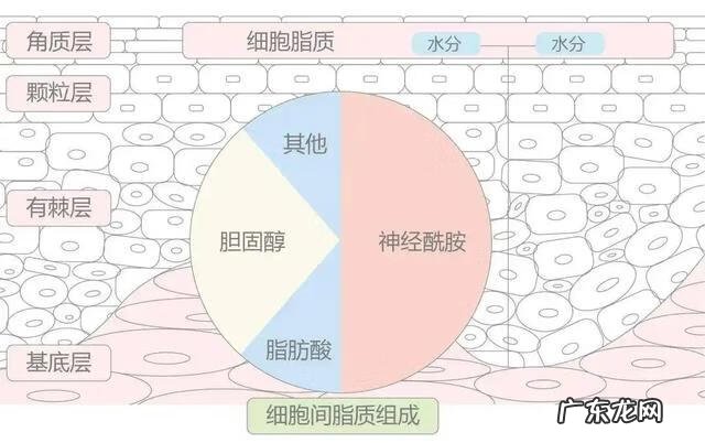 脸上血丝怎么去掉 如何去掉脸上的红血丝