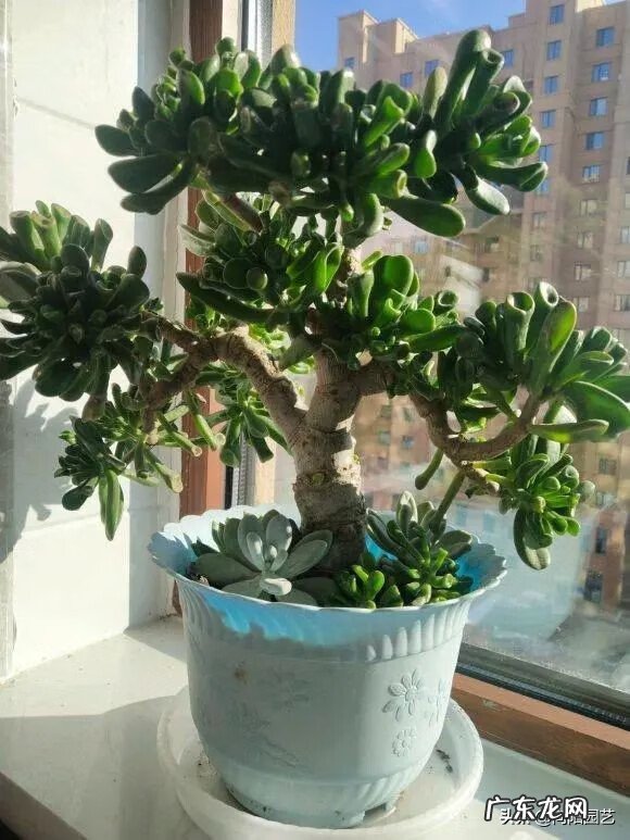 富贵子的风水作用 风水中的富贵水