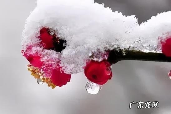 冬至是哪一天几月几号 冬至是什么时候意思