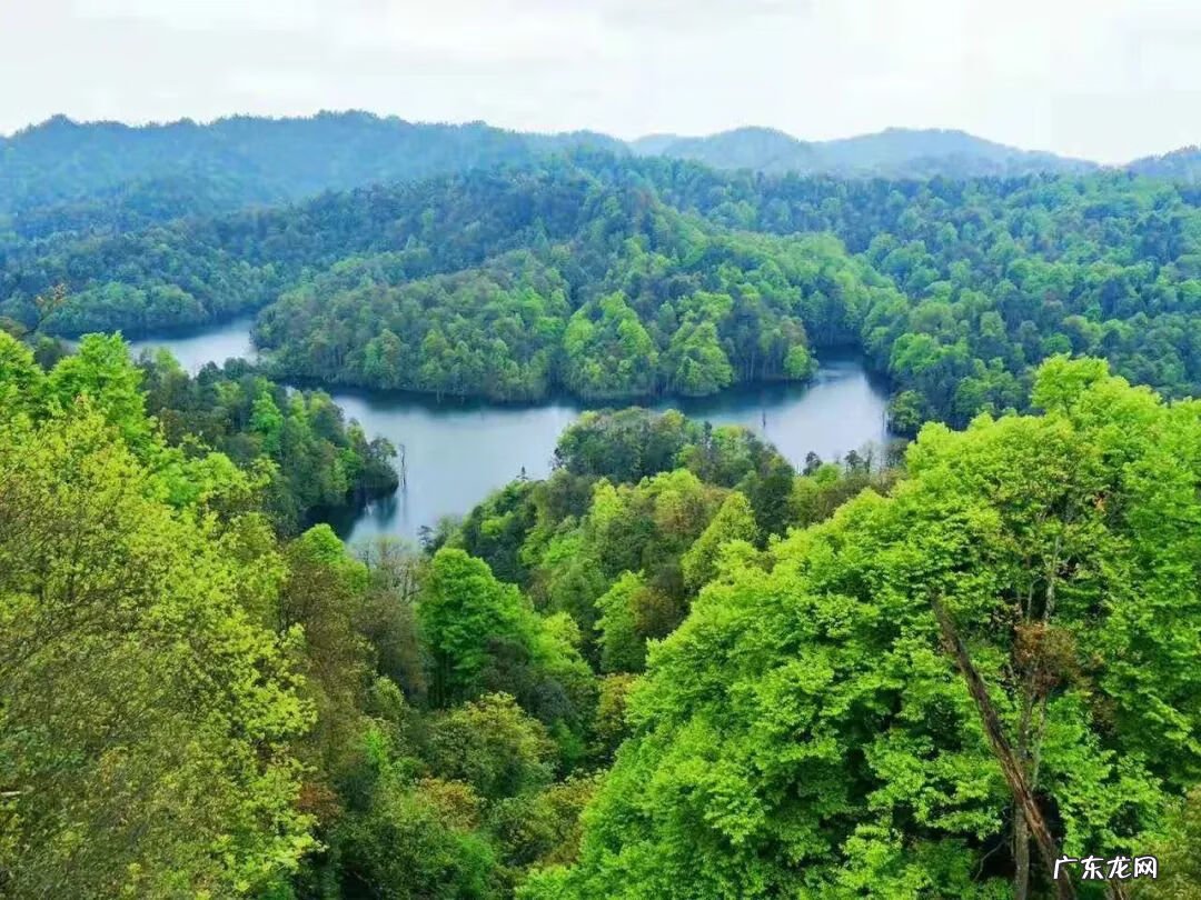 铜锣锅什么样才值钱 风水铜锣地出什么人