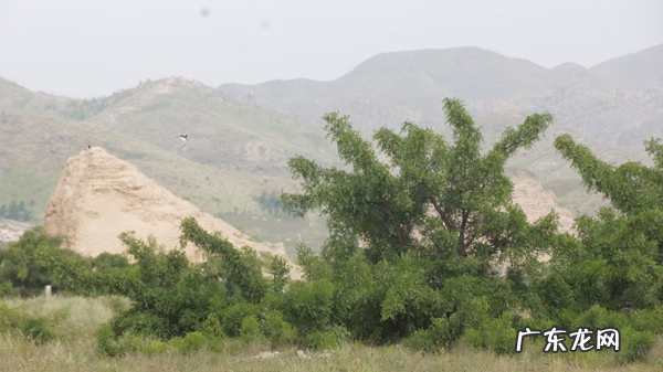 金字塔风水摆件 风水金字塔图片