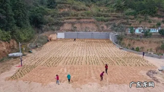 龙岩较好的风水宝地 广东普宁虎岗山是什么风水宝地