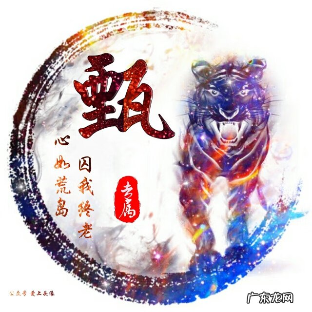 付姓氏头像 付姓的头像