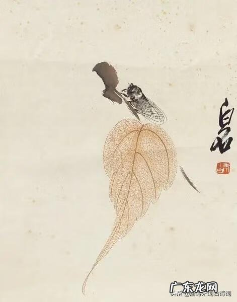 寒蝉凄切,对长亭晚,骤雨初歇赏析 寒蝉凄切对长亭晚是什么生肖