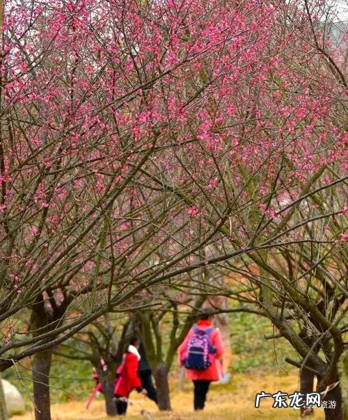 赣州市赣县区梅林镇 赣县区梅林风水