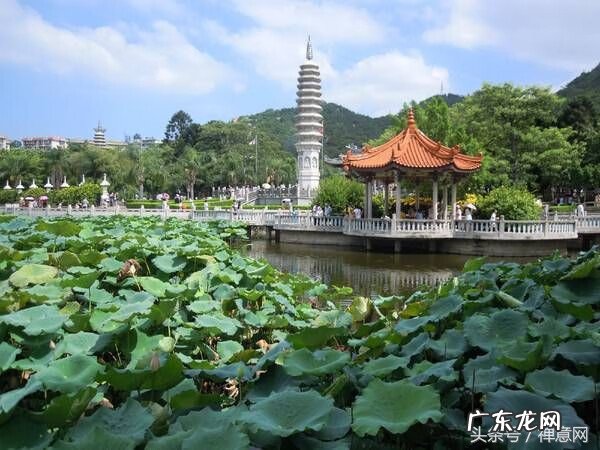 龙陵神汤苑 龙华寺风水