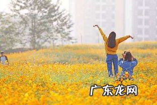 如何提升自己的风水 提升运势的风水方法