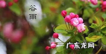 如何提升自己的风水 提升运势的风水方法