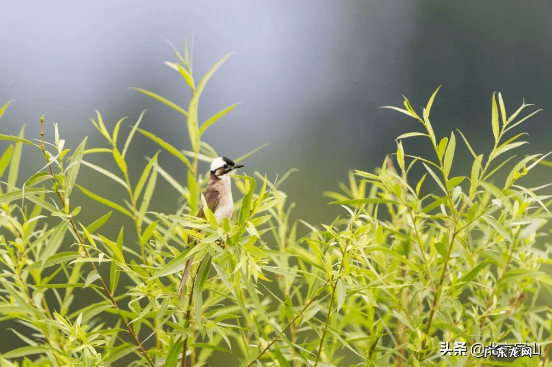 房山长沟 房山长沟在哪
