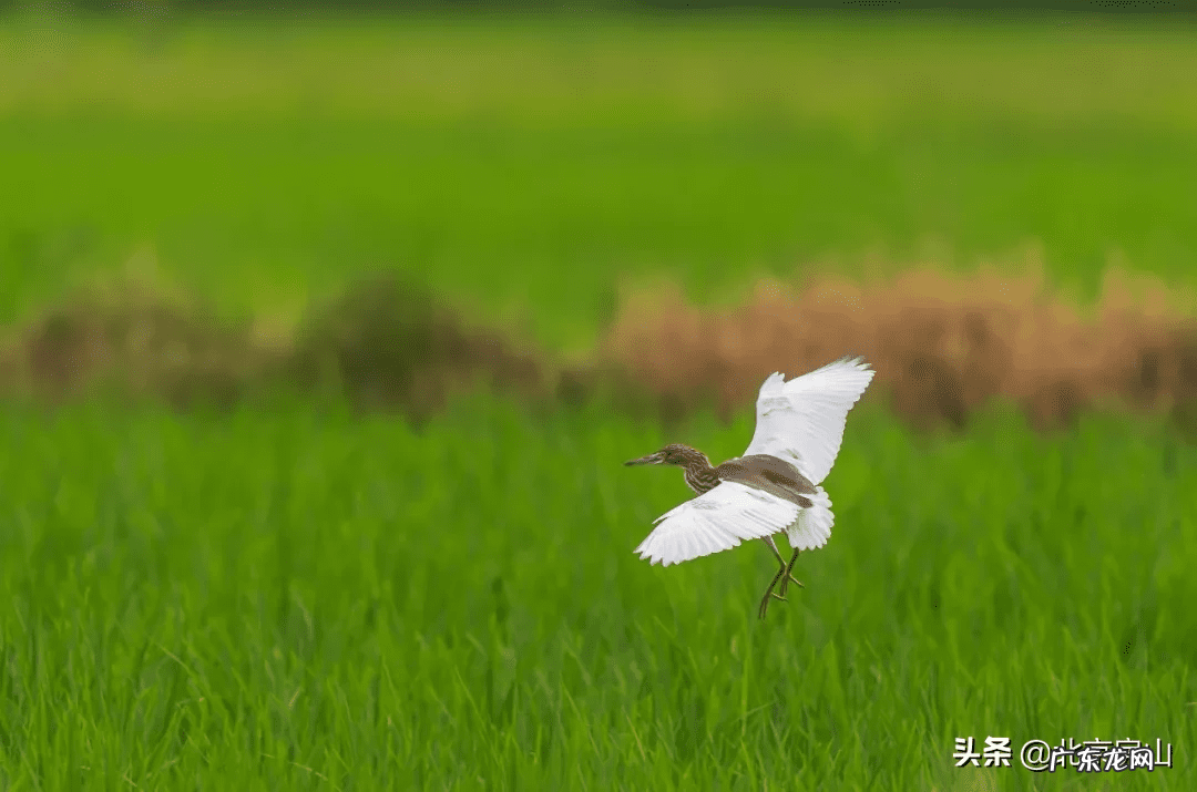 房山长沟 房山长沟在哪