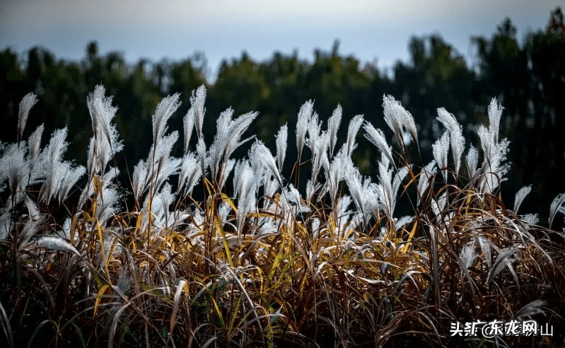 房山长沟 房山长沟在哪