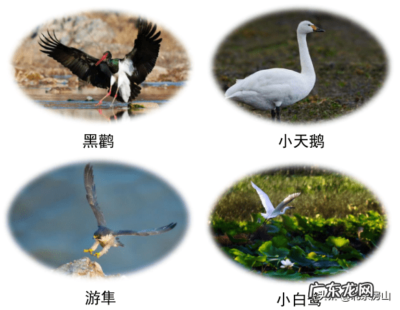 房山长沟 房山长沟在哪